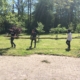 Scholieren aan het werk